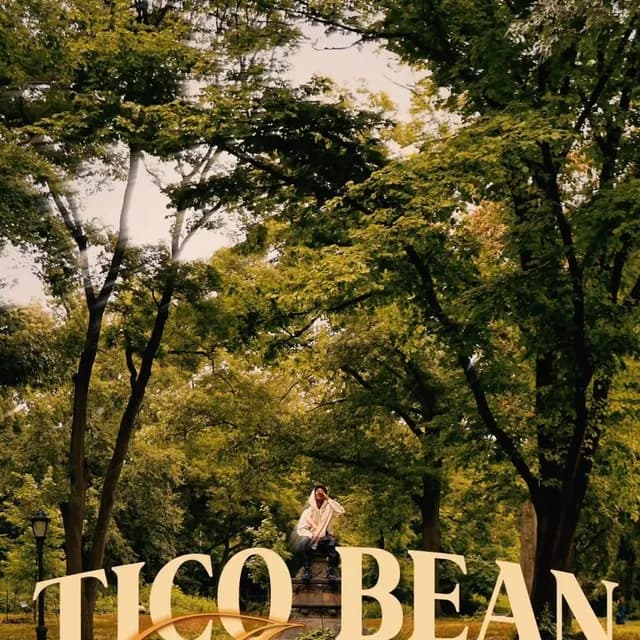 Avoiding Distractions by Tico Bean